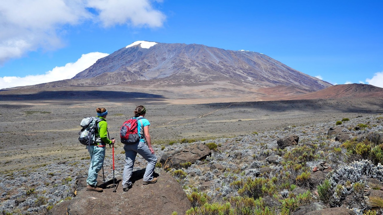 Mount Kilimanjaro Day Hike (Marangu Route)