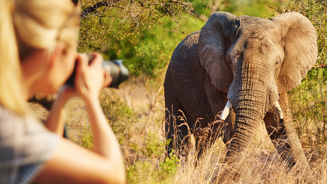 Tarangire National Park Safari