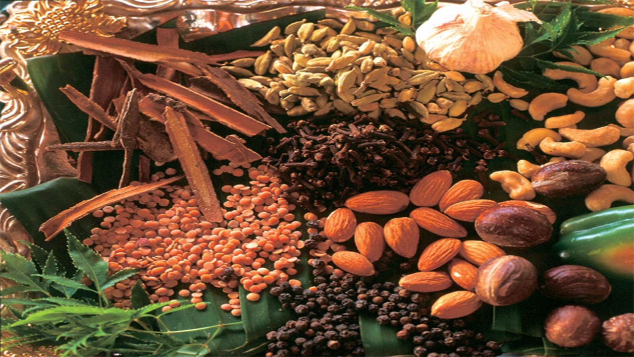 Spice Farm Tour