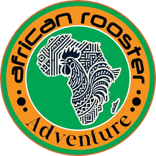 African Rooster Adventure