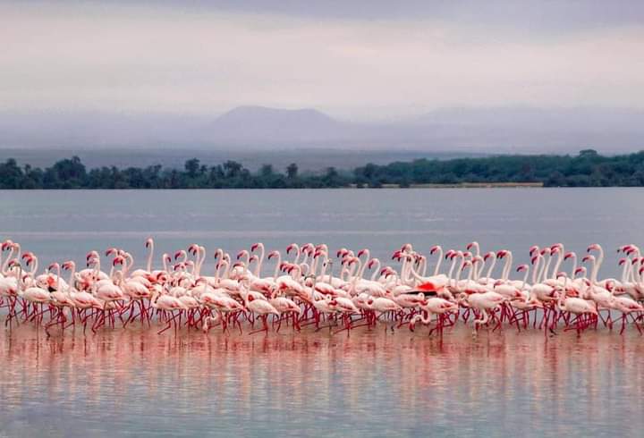 Lake Manyara