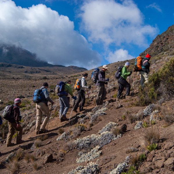 7 Days Machame Route