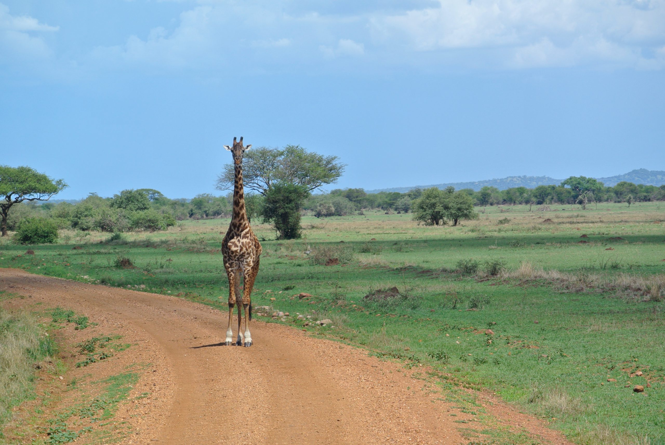 Arusha National Park Daytrip