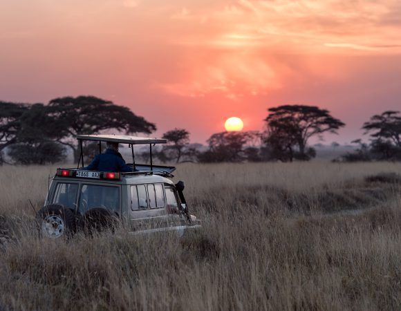 7 Days Wildlife Southern Safari