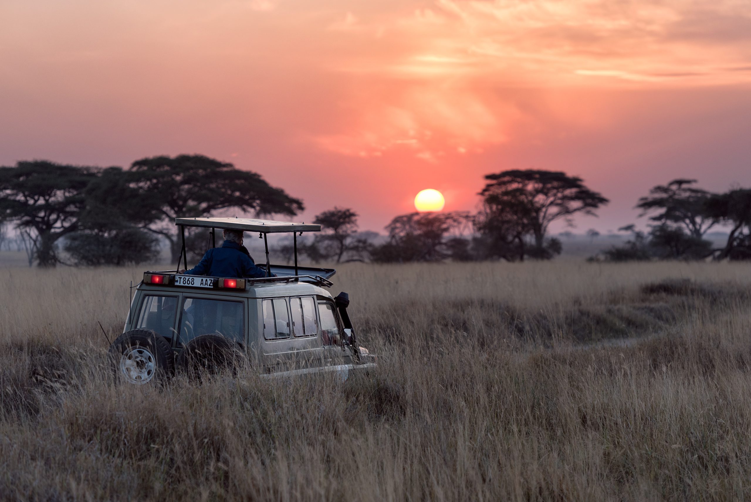 7 Days Wildlife Southern Safari